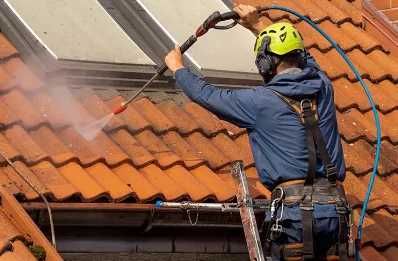 Démoussage et hydrofuge de toiture à Domezain-Berraute